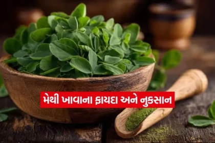 Dharmishtha 29.jpg.webp