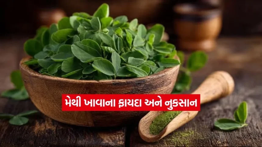 Dharmishtha 29.jpg.webp