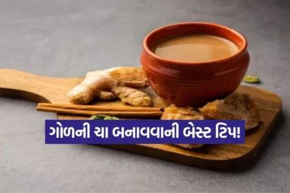 Dharmishtha 30.jpg.webp