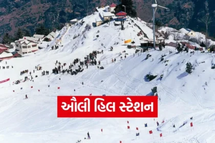 Dharmishtha 41.jpg.webp