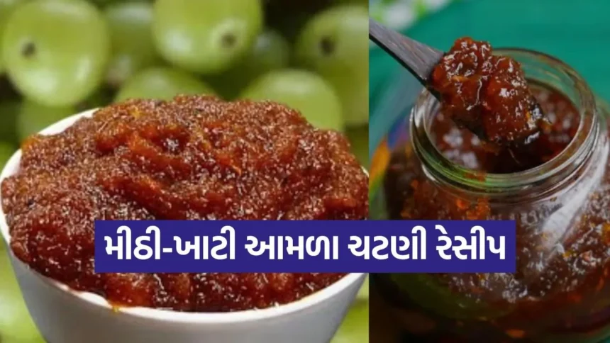 આમળાની ચટણી રેસીપી: વિટામિન C થી ભરપૂર આ પૌષ્ટિક ચટણી ઘરે કેવી રીતે બનાવવી! 1 Dharmishtha 49.jpg.webp