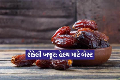 Dharmishtha 72.jpg.webp