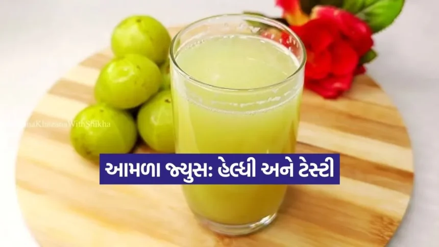 તીખું અને તાજગીભર્યું આમળાનું જ્યુસ: રોગપ્રતિકારક શક્તિ વધારવા માટે ઘરે જ બનાવો 1 Dharmishtha 74.jpg.webp