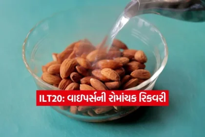 Dharmishtha 91.jpg.webp