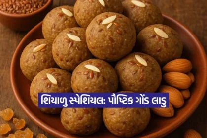 Dharmishtha 92.jpg.webp