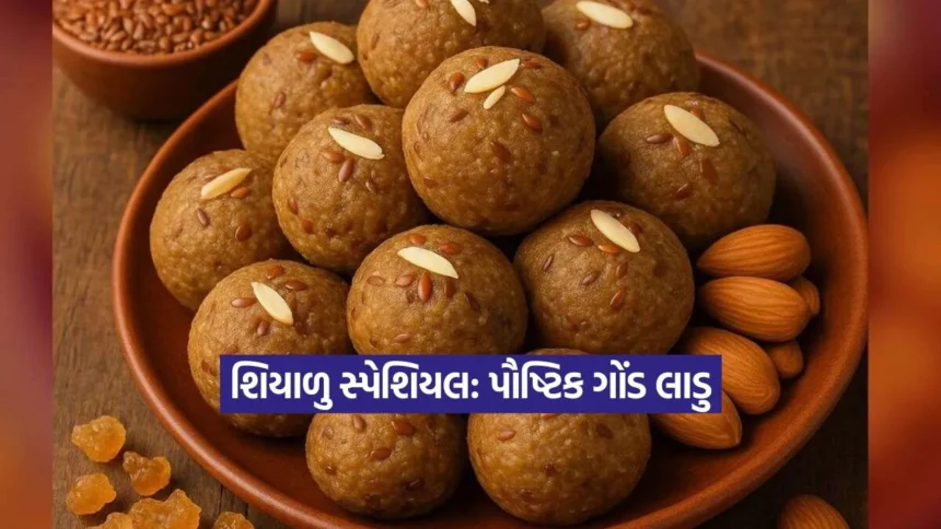 શિયાળાની શાન: ઘરે બનાવો પૌષ્ટિક ગોંડ લાડુ, જાણો સ્ટેપ-બાય-સ્ટેપ આસાન રેસીપી 1 Dharmishtha 92.jpg.webp