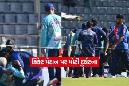 Dharmishtha 94.jpg.webp