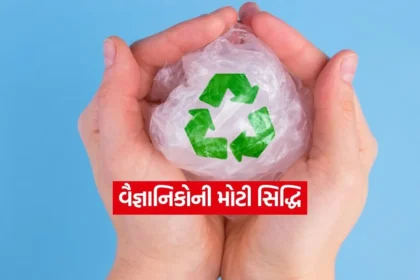 INDIA 1 2025 12 29T101341.139.jpg.webp