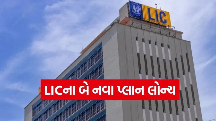 LICના બે નવા ધમાકેદાર પ્લાન લોન્ચ: ‘પ્રોટેક્શન પ્લસ’ અને ‘બીમા કવચ’માં વીમા સાથે બચત અને કૌટુંબિક સુરક્ષાનો ડબલ લાભ 1 LIC.jpg.webp