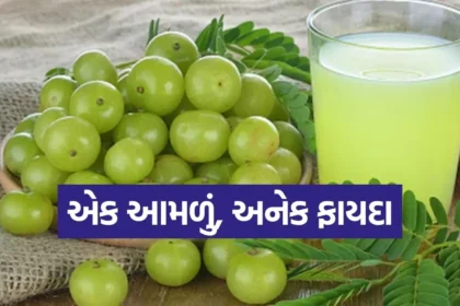 amla benifit.jpg.webp