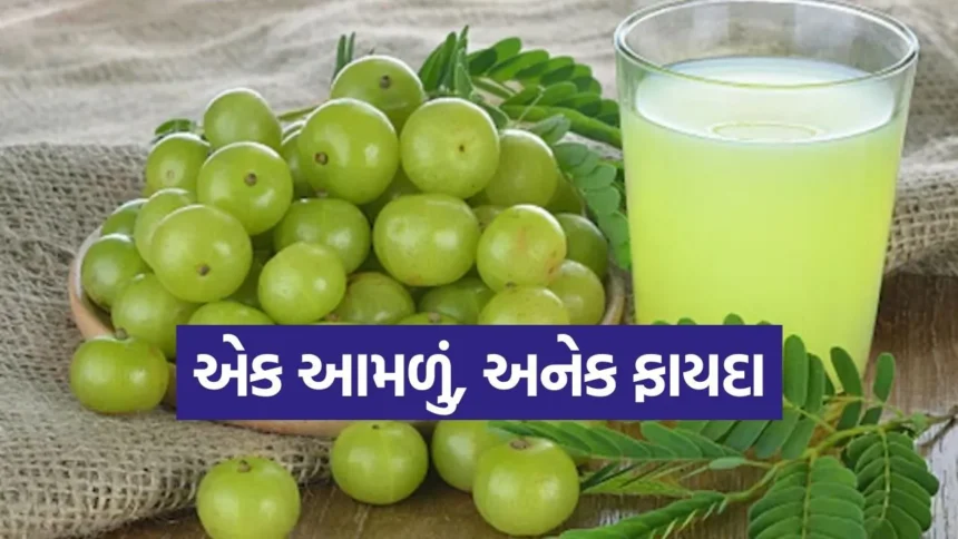 શક્તિનો ખજાનો ‘આમળા’: શું તમે તેને ચાવીને ખાઓ છો કે પછી રસ પીઓ છો? જાણો કયો રસ્તો છે વધુ ફાયદાકારક! 1 amla benifit.jpg.webp