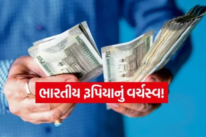 dharmishtha 1 14.jpg.webp