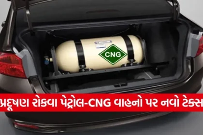 dharmishtha 1 2025 12 29T151218.915.jpg.webp