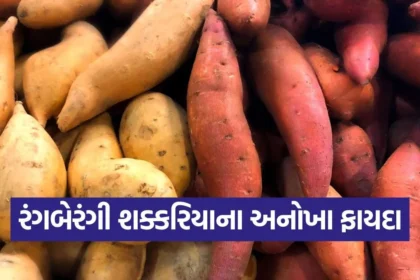 dharmishtha 1 22.jpg.webp