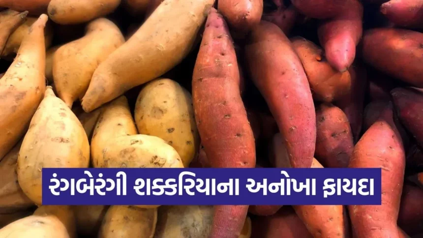 dharmishtha 1 22.jpg.webp