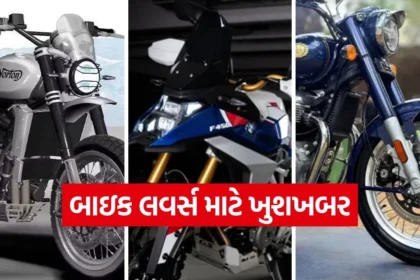 dharmishtha 1 23.jpg.webp