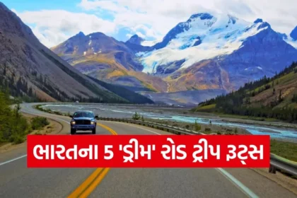 dharmishtha 1 33.jpg.webp