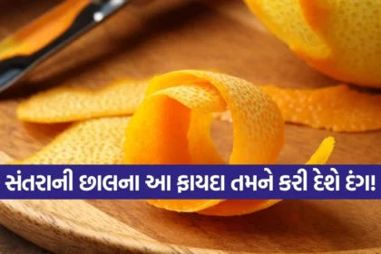 dharmishtha 1 43.jpg.webp