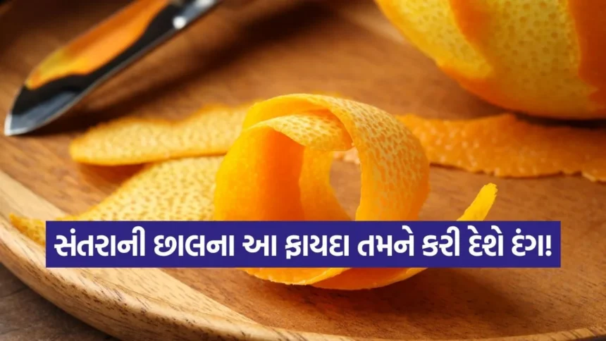 કચરો નહીં, પણ સ્વાસ્થ્યનો ખજાનો છે સંતરાની છાલ; ફાયદા જાણીને તમે ક્યારેય નહીં ફેંકો! 1 dharmishtha 1 43.jpg.webp