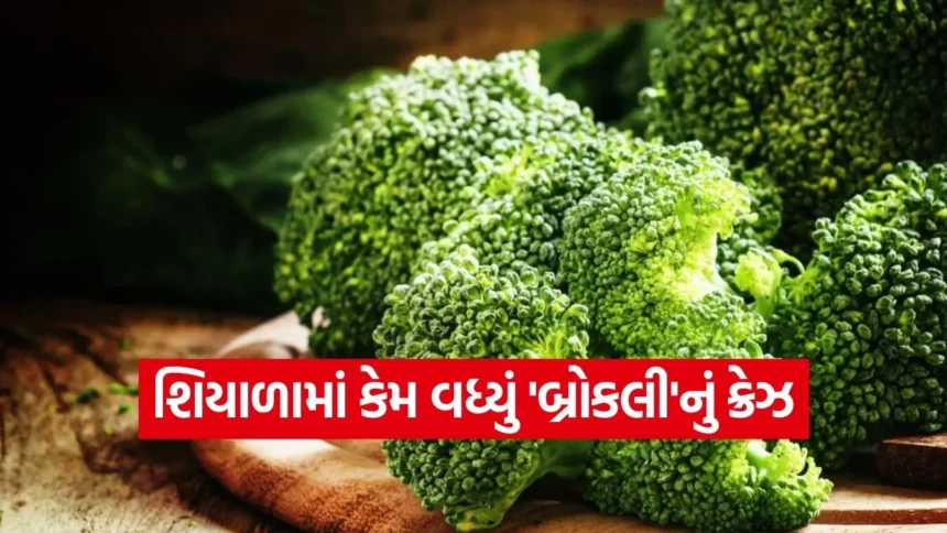 ગ્લોઈંગ સ્કિનથી લઈને મજબૂત ઈમ્યુનિટી સુધી: શિયાળામાં બ્રોકલી ખાવાના 5 ફાયદા 1 dharmishtha 1 79.jpg.webp