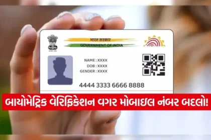 dharmishtha 1 9.jpg.webp