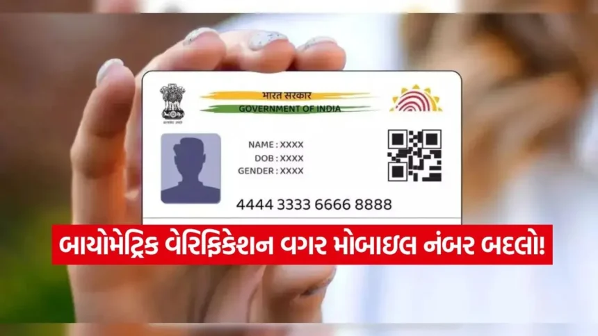 dharmishtha 1 9.jpg.webp