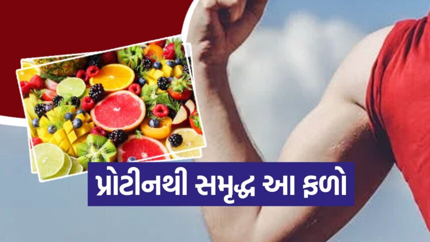 ફળ ખાઓ અને શક્તિ વધારો! માત્ર માંસ જ નહીં, પ્રોટીનયુક્ત આ ફળો પણ વધારશે તમારી શારીરિક તાકાત 1 fruite