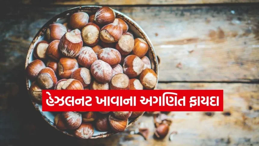 માત્ર સ્વાદ જ નહીં, સ્વાસ્થ્યનો ખજાનો છે હેઝલનટ: રોજ ખાવાથી થશે આ 5 મોટા ફાયદા 1 healnut.jpg.webp