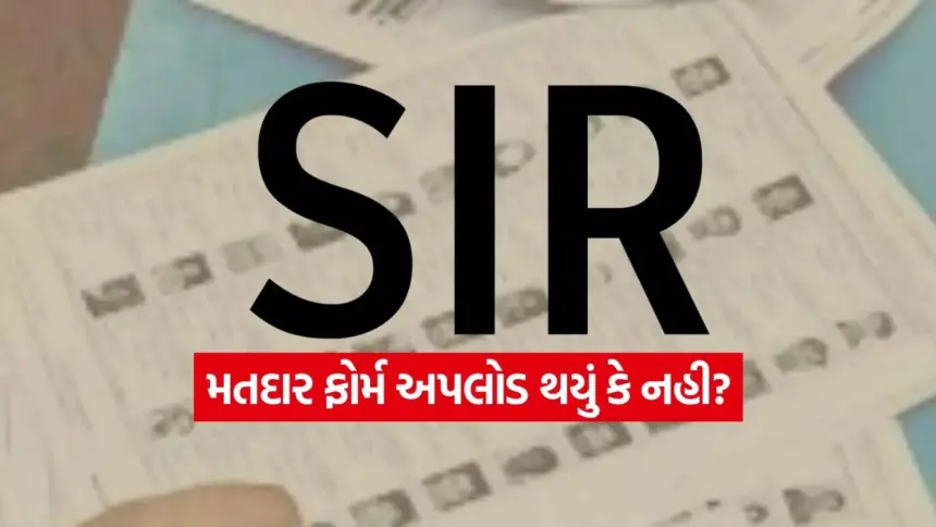 india 2025 11 29T105207.325.jpg.webp