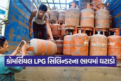 india 2025 12 01T095519.429.jpg.webp