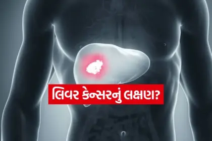 india 2025 12 02T172734.540.jpg.webp