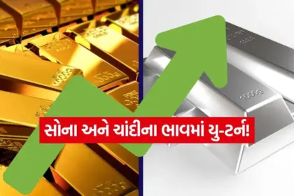 india 2025 12 03T103617.174.jpg.webp