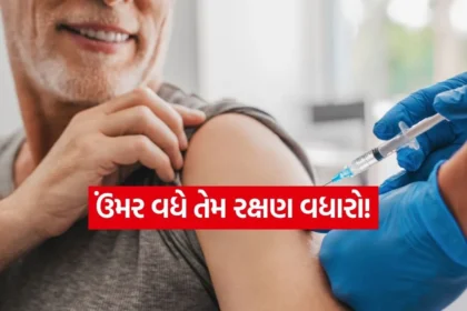 india 2025 12 09T171121.199.jpg.webp