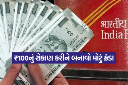 india 2025 12 12T173649.090.jpg.webp