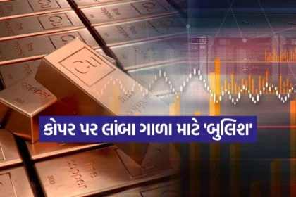 india 2025 12 13T145318.610.jpg.webp