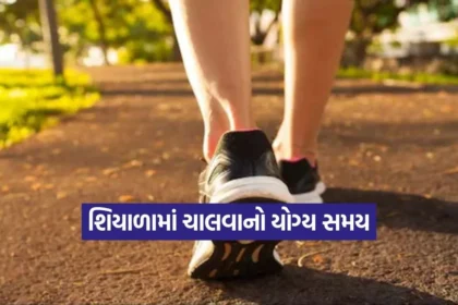 kruti 28.jpg.webp