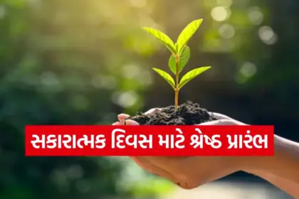 kruti 5.jpg.webp
