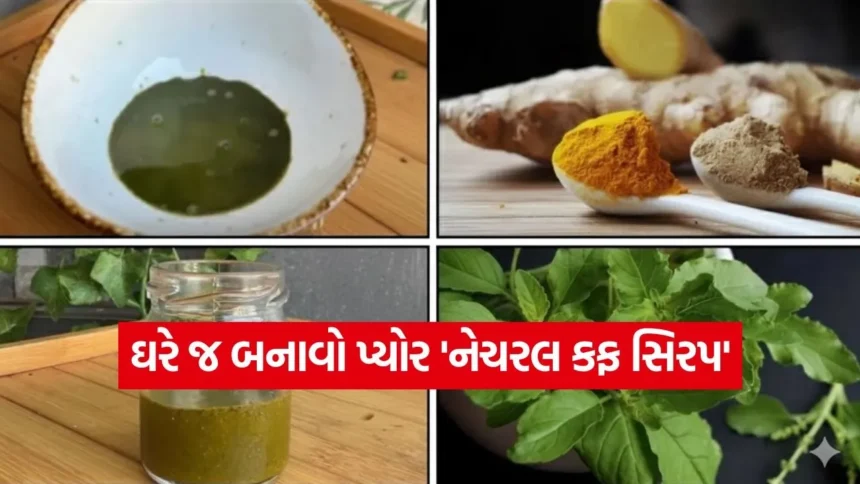 શું તમે પણ ઉધરસથી પરેશાન છો? મોંઘા કફ સિરપ છોડો અને અજમાવો આ આયુર્વેદિક નુસખો 1 siup.jpg.webp