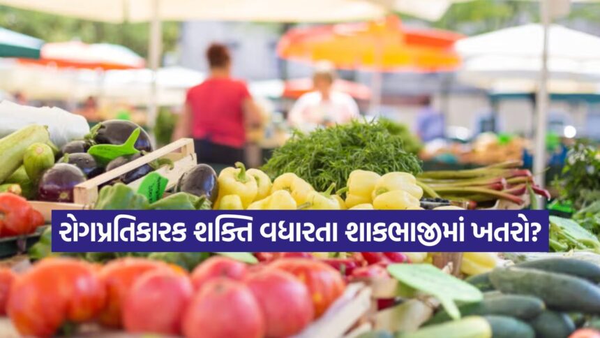 શિયાળાની આ શાકભાજીઓ બની શકે છે કેન્સરનું કારણ, બ્રિટિશ રિસર્ચમાં થયો મોટો ખુલાસો 1 veg