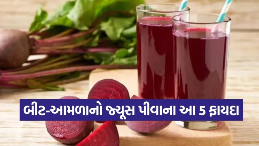 શું તમે અશક્તિ અને લોહીની ઉણપથી પરેશાન છો? તો શિયાળામાં ટ્રાય કરો બીટ-આમળાનો મેજિકલ જ્યૂસ 1 1767420696 dharmishtha 1 2.jpg.webp