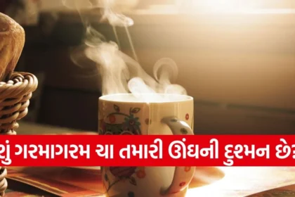 1767478713 dharmishtha 1 32.jpg.webp