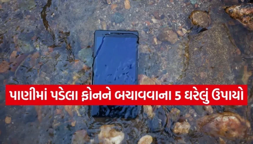 પાણીમાં પડી ગયો છે સ્માર્ટફોન? સર્વિસ સેન્ટર જતા પહેલા આટલું કરો, બચી જશે હજારો રૂપિયા 1 1767825934 Copy of Satya web temp 34.jpg.webp