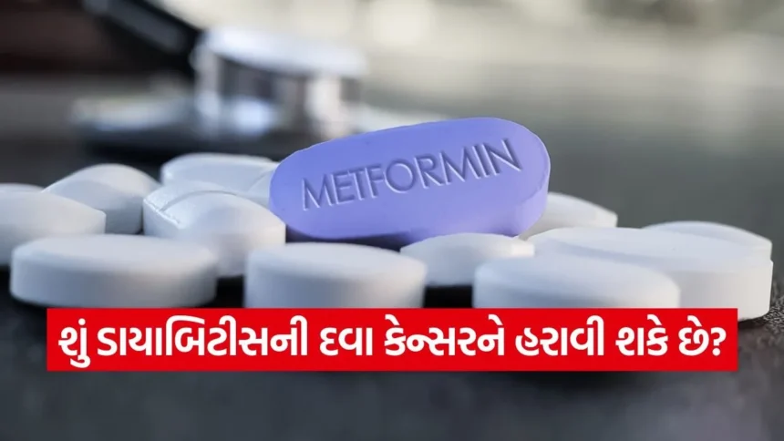 મેટફોર્મિન: માત્ર ડાયાબિટીસ જ નહીં, હવે કેન્સર સામે પણ બનશે મોટું હથિયાર? જાણો શું કહે છે લેટેસ્ટ રિસર્ચ 1 1767911521 dharmishtha 1 35.jpg.webp