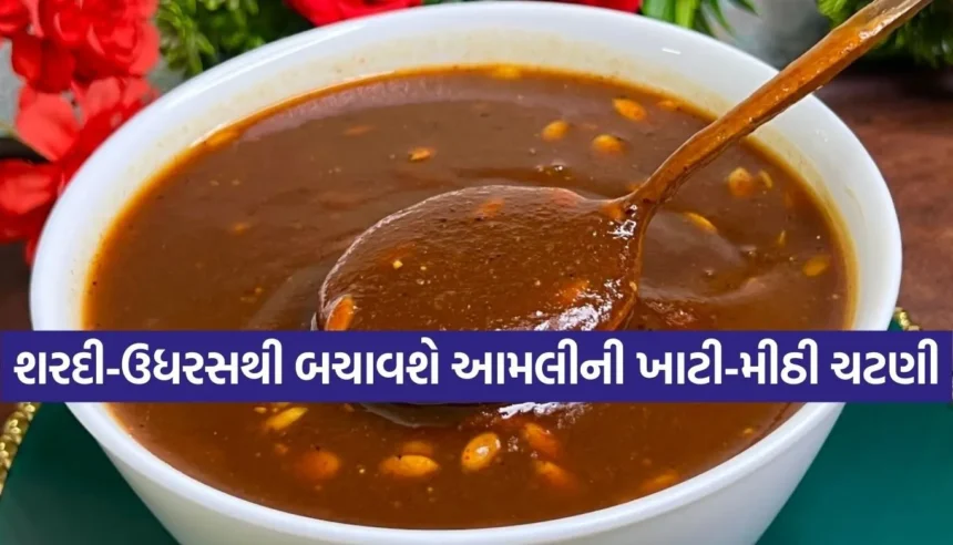 શિયાળામાં ઇમ્યુનિટી વધારશે આમલીની આ ખાટી-મીઠી ચટણી, નોંધી લો ઝટપટ બનતી રેસીપી 1 1767940056 Copy of Satya web temp 64.jpg.webp