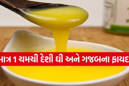 1768258357 dharmishtha 1 28.jpg.webp