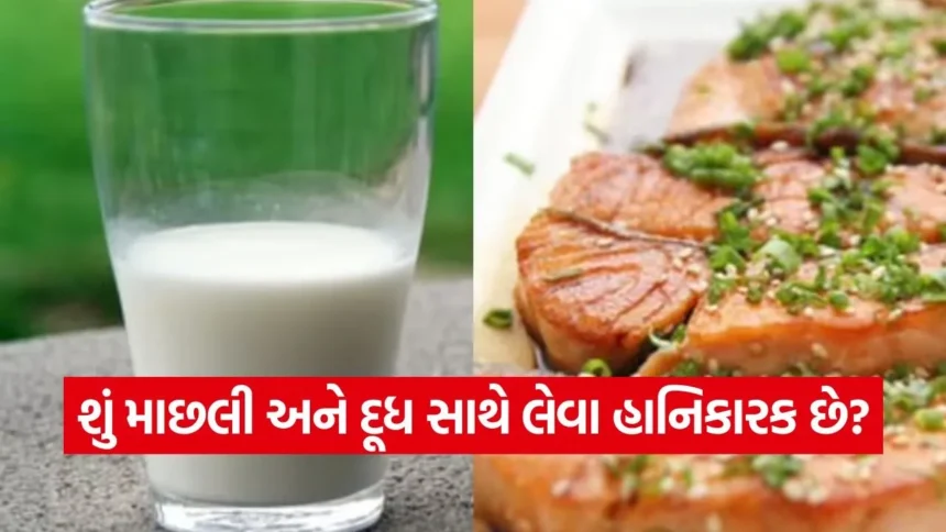 માછલી અને દૂધ સાથે લેવાથી સફેદ ડાઘ થવાની વાત કેટલી સાચી? હકીકત જાણીને તમે પણ ચોંકી જશો 1 1768315665 dharmishtha 1 27.jpg.webp