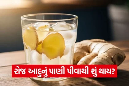 1768547136 dharmishtha 1 7.jpg.webp