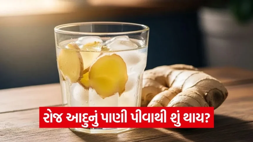આદુનું પાણી માત્ર સ્વાદ જ નહીં, સ્વાસ્થ્યનો પણ ખજાનો! વજન ઉતારવા માટે આ રીતે કરો ઉપયોગ 1 1768547136 dharmishtha 1 7.jpg.webp