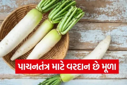 1768604311 dharmishtha 1 42.jpg.webp