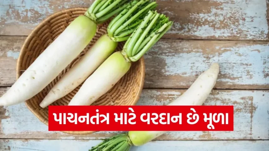 1768604311 dharmishtha 1 42.jpg.webp
